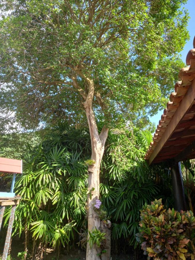 Villa Família Silvia Périco à Ilhabela Extérieur photo